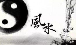 玄学大师别人算命他吃瓜免费阅读